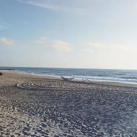팜스테이 Casas Da Barra
