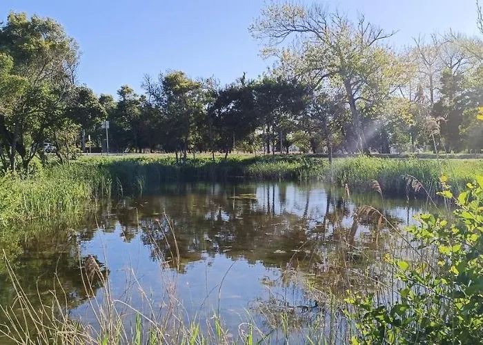 Séjour à la ferme Casas Da Barra *