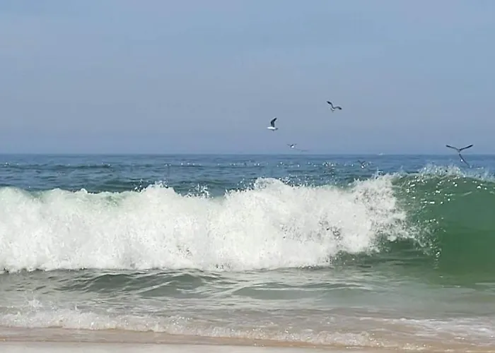 Séjour à la ferme Casas Da Barra