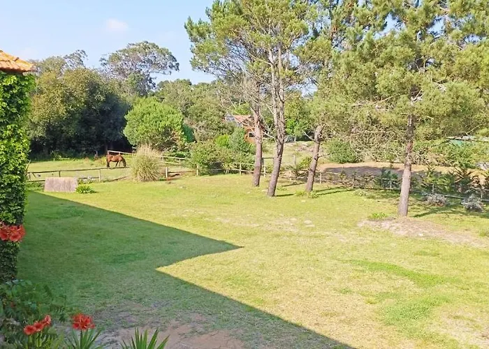 Casas Da Barra * Praia de Mira