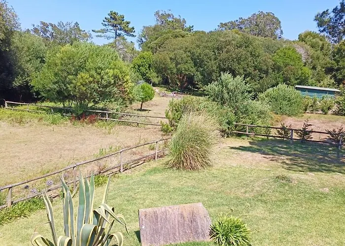 Casas Da Barra Praia de Mira