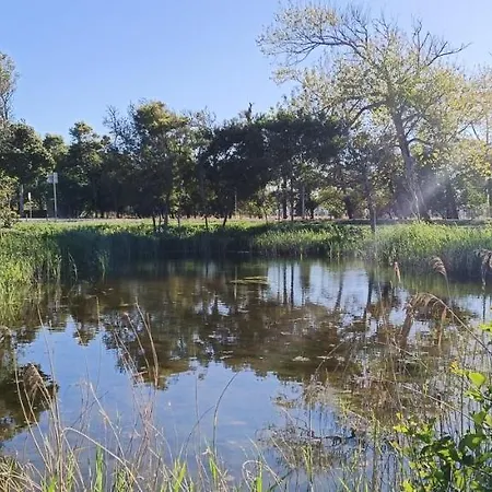 Alojamento de Turismo Rural Casas Da Barra *