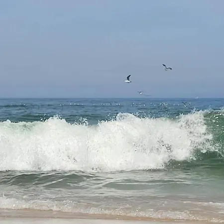 Feriegård Casas Da Barra